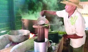El café, para los cubanos, no es solo un cultivo más. Foto: David A. Medina Cabrales