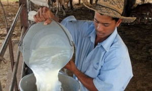 leche