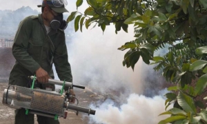 Fumigación Matanzas